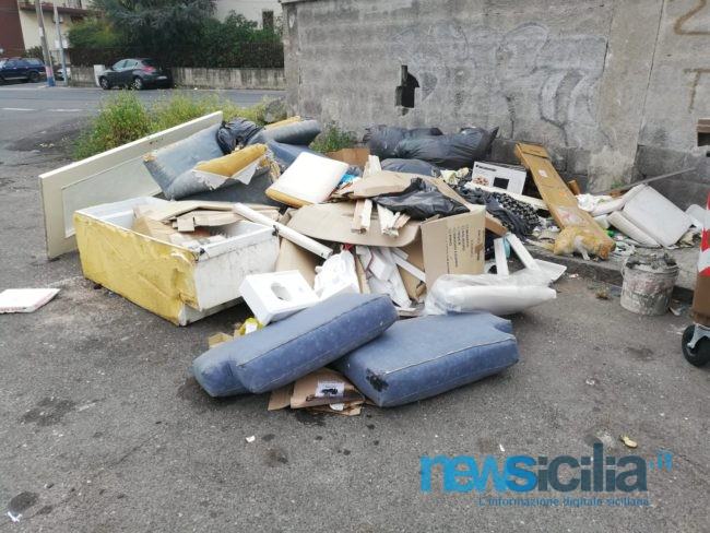 Immondizia e gatti randagi in strada, ma i cassonetti restano vuoti: il paradosso di via dei Piccioni – FOTO