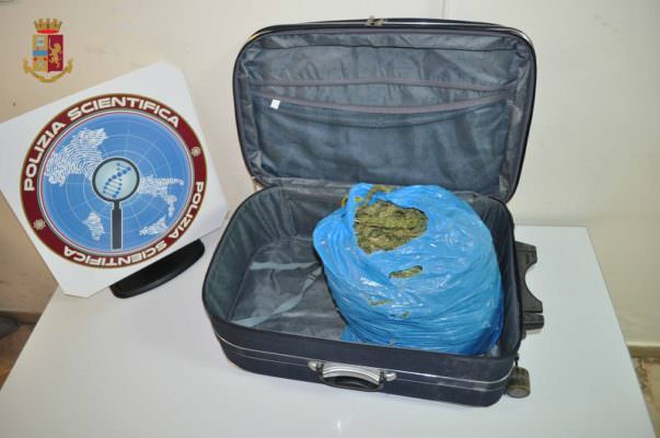 Valigia con “sorpresa” al porto di Messina: trovati 2 chili di droga