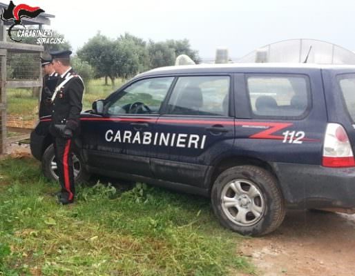 Allevamenti, macellerie e pescherie nel mirino del Nas: maxi sequestro di molluschi e ovini
