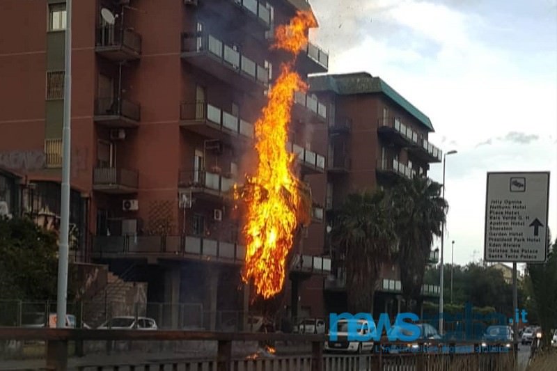 Paura alla Circonvallazione di Catania: palma a fuoco “minaccia” le abitazioni