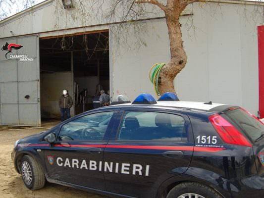 Maltrattamenti all’interno di ippodromi e di allevamenti di cavalli da corsa: controllate 4 scuderie