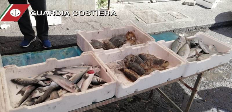 Catania, blitz in due pescherie del mercato rionale e in un ristorante di Aci Trezza: scattano i sequestri