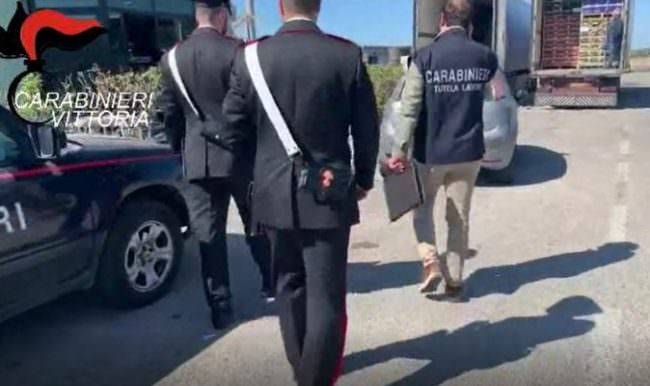 Controlli al mercato ortofrutticolo: lavoro in nero, sospesa attività per azienda agricola – VIDEO