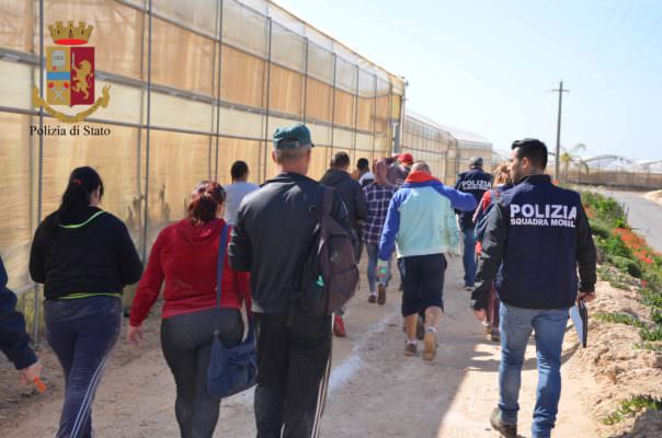 Donne, tunisini e rumeni costretti a vivere in azienda e sfruttati: denunciati due titolari di un’azienda agricola