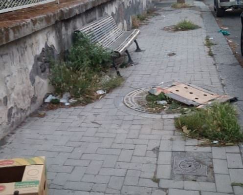 Degrado a Catania, richiesta di interventi per erbacce fastidiose da ogni parte della città – Le FOTO