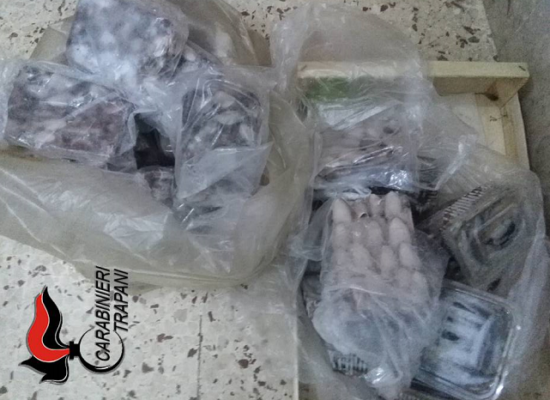 Sequestrati 26 chili di pesce senza etichetta, multa di 1.500 euro al proprietario