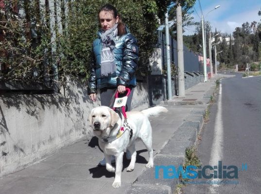 “Se leghi il cane al palo puoi entrare”: cinema nel Catanese nega l’ingresso a non vedente con cane guida