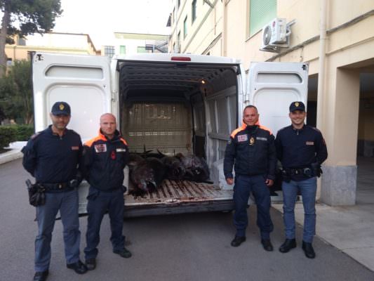 Bloccato furgone: a bordo una tonnellata di Tonno Rosso per la vendita abusiva