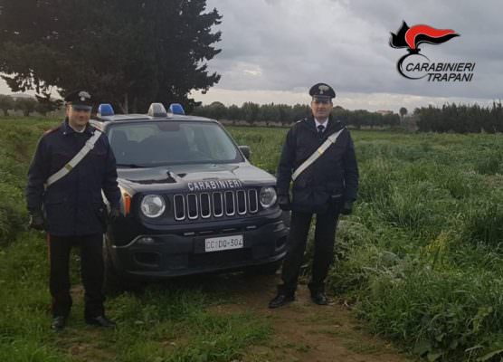 Getta la carcassa del proprio cane in un pozzo: 65enne rischia multa fino a 70mila euro