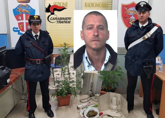 Serra artigianale in casa e piante di marijuana nella vasca da bagno: arrestato 45enne