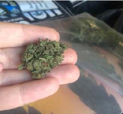 Marijuana senza marchio di provenienza e tracciabilità: sequestro in un negozio catanese di cannabis
