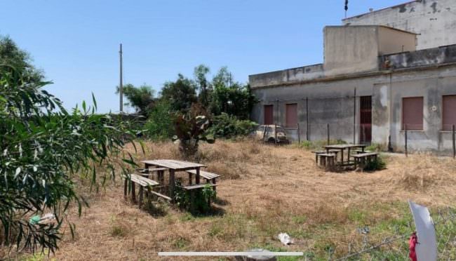 Rischio incendi fascia boschiva lungo il lungomare di Mascali: l’allarme del sindaco