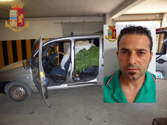 Ruba 103 chili di cannabis nel Catanese, fermato malvivente dopo inseguimento: in manette un 41enne