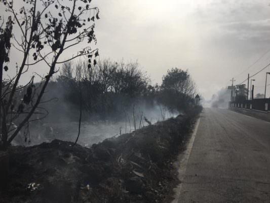 Dall’Oasi del Simeto alla SP4, Catania “devastata” dagli incendi: interventi in tutta la provincia