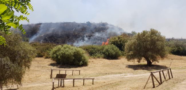 Incendio di Morgantina, niente danni al sito archeologico: vigili del fuoco tempestivi – FOTO