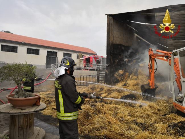 Aci Catena, incendio di sterpaglie coinvolge fienile: salvati 64 bovini di un allevamento