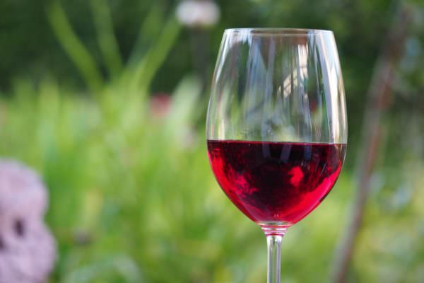 La cultura del vino tra risultati record e nuove opportunità per i giovani