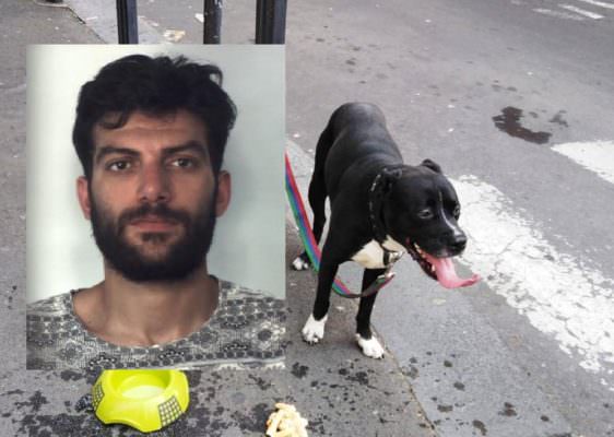 Ruba scooter e trascina il cane al guinzaglio per via Gabriele D’Annunzio: in manette giovane catanese Ruba scooter e trascina il cane al guinzaglio per via Gabriele D’Annunzio: in manette giovane catanese