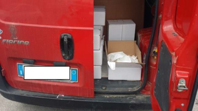 Buste di plastica non biodegradabili: maxi multa per il conducente di un furgoncino