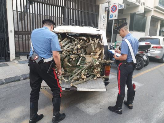 Sorpresi a rubare legna in un’area boschiva: arrestati padre e figlio