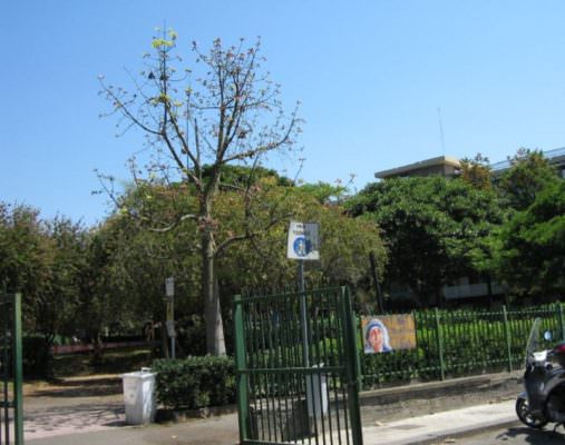 Cani “in libertà” nell’area verde del parco del quartiere Borgo-Sanzio. Cerri: “Occorrono risposte positive”