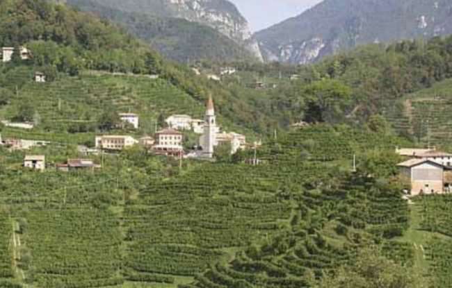 COLLINE PROSECCO NELLA LISTA UNESCO PATRIMONIO DELL'UMANITÀ