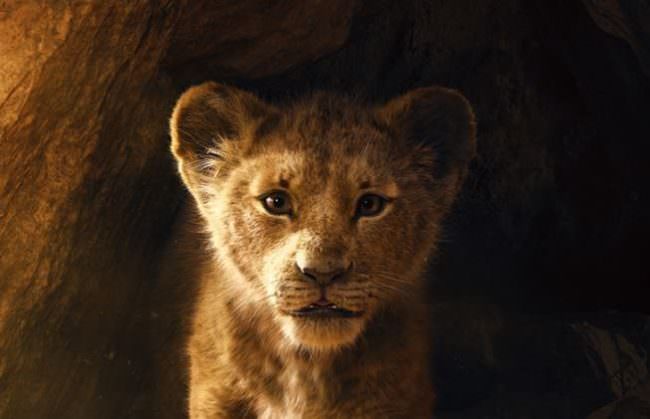 IL RE LEONE, ELISA SARA' LA VOCE DI NALA