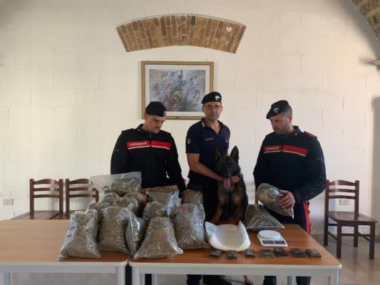 Ritrovati 10 chili di droga in un magazzino di un noto quartiere del centro