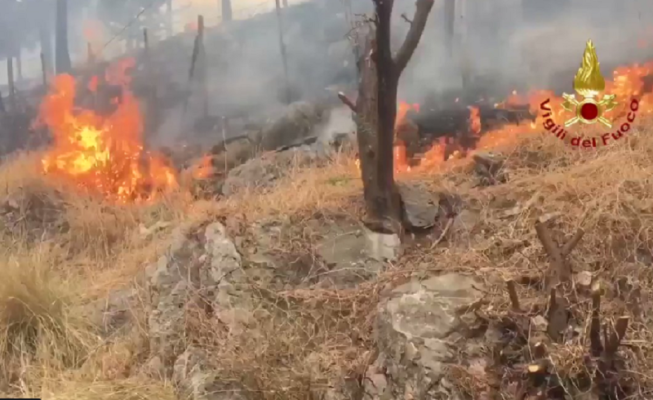 Sicilia in fiamme, evacuazioni e servizi in tilt da oriente a occidente – DETTAGLI e FOTO