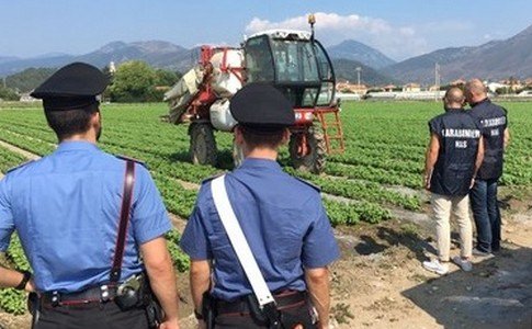 Lavoro in nero, controlli in diverse attività commerciali: 135mila euro di multe a imprenditori