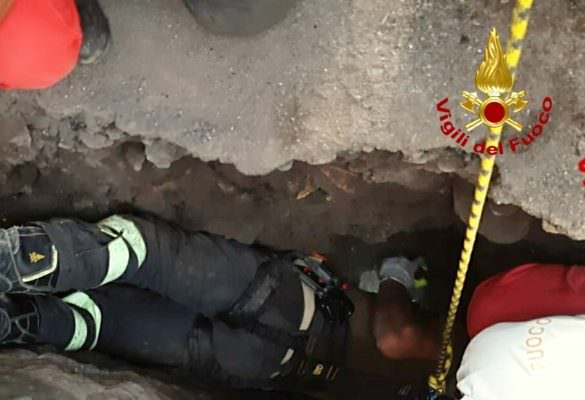 Catania, cuccioli di cane intrappolati in una fessura in via Montepalma: intervento dei pompieri