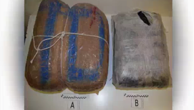 Operazione antidroga “Tunnel”, i NOMI dei 12 arrestati tra esponenti di spicco e fiancheggiatori – VIDEO