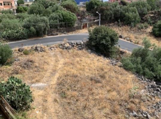 Via degli Ulivi in stato d’abbandono: raccolta firme del consigliere Giacone per scerbamento, discarica e pulizia – FOTO