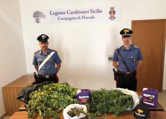 Casa adibita a serra, all’interno oltre 20 piante di marijuana: in manette Giuseppe Renda