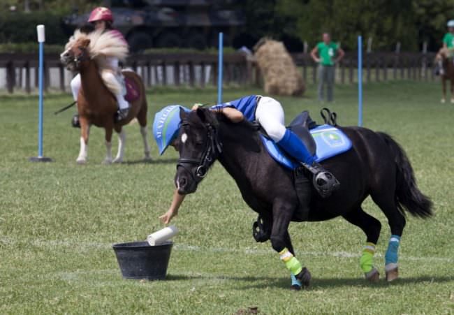 EQUITAZIONE: DAL 28 AL 31 AGOSTO A ROMA LA 14^ EDIZIONE DELLE PONYADI
