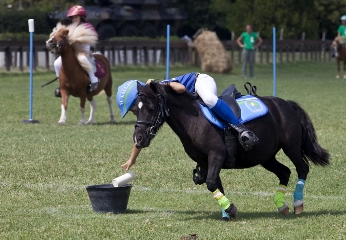 EQUITAZIONE: DAL 28 AL 31 AGOSTO A ROMA LA 14^ EDIZIONE DELLE PONYADI