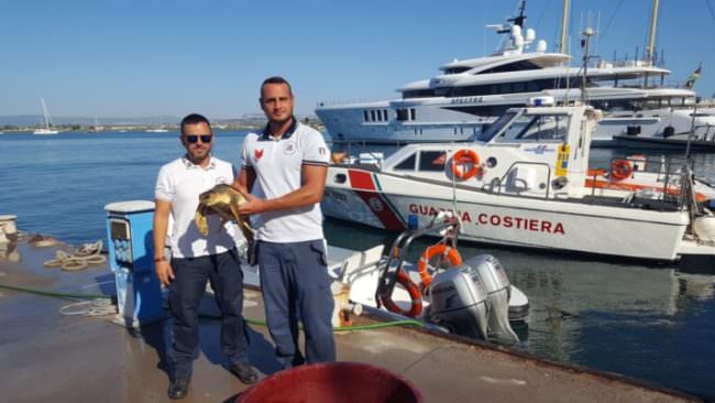 Indebolita e con un amo da pesca in bocca: Guardia Costiera recupera tartaruga in mare