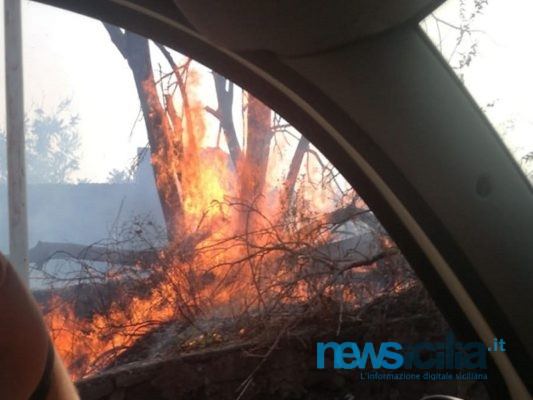 Incendio nel Catanese, fiamme in via Etnea: rogo poco distante dalle abitazioni Incendio nel Catanese, fiamme in via Etnea: rogo poco distante dalle abitazioni