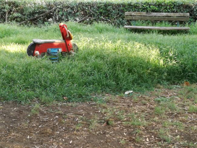 Parco Madre Teresa: le FOTO delle fontane distrutte, di alberi caduti e dell’erba incolta
