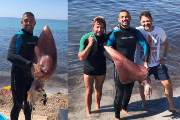 Pescato calamaro gigante di 18 Kg: stupore e “lamentele” tra i bagnanti