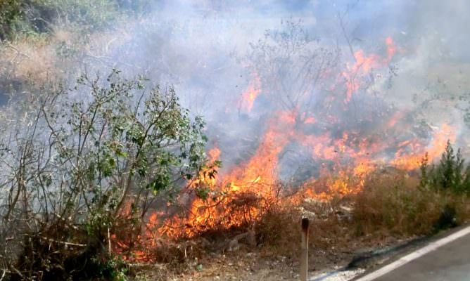 Catania, incendi e rischio per i residenti. Parisi: “Non si attiva ancora  un piano di prevenzione”