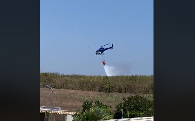 Fiamme alte a Pachino, coltivazioni distrutte in poche ore: vigili del fuoco e forestale sul posto – VIDEO