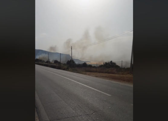 “Ho salvato mia madre, non andate in quella zona”, incendio in corso: vigili del fuoco sul posto – VIDEO