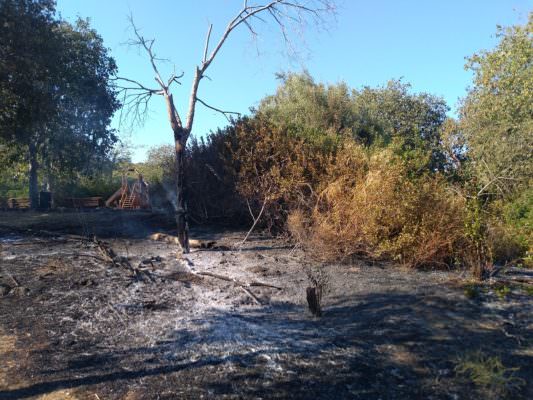 Fiamme al Parco Gioieni, il comitato Romolo Murri: “Un campanello d’allarme da non sottovalutare”