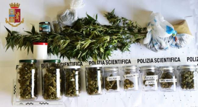 Mini serra di droga in casa, scatta provvedimento della Polizia di Stato: in manette 32enne