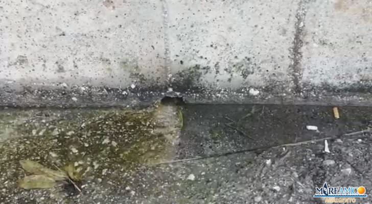 “Incredibile, ma vero”, bollette care e litri d’acqua persi in strada: la denuncia di Mareamico