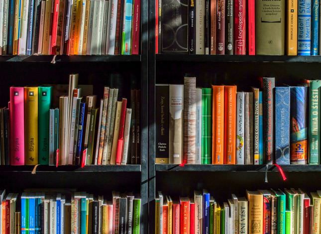 IN ITALIA SI LEGGE POCO, PER IL 60% UN LIBRO L'ANNO