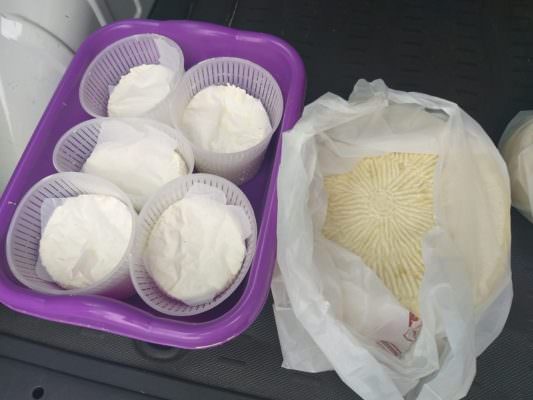 Blitz al mercatino “bio” di piazza Verga: sequestrati oltre 30 kg di formaggio e ricotta