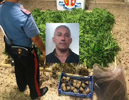 Armato di pistola e coltivatore di droga, beccato dai carabinieri nel Catanese: arrestato 50enne
