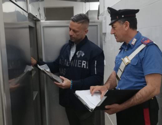 Prodotti ittici in cattivo stato di manutenzione, denunce e sanzioni per 5mila euro per titolare di un ristorante